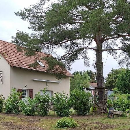 Proche Chateaux Et Zoo De Beauval: Gite De Sologne Pruniers Kültér fotó